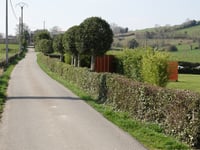 Counhaye über Rue Hoof