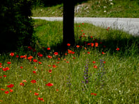 Coursegoules z Carros Village