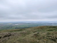 Craigowl Hill von Tealing