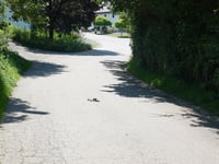 Creppe von Winamplanche über Rue d’Église