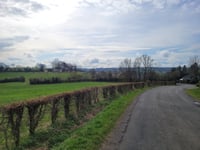 Croix de Charneux von Charneux