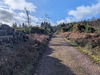 Croydon Hill von Nutcombe Bottom über Broadwood Plantation