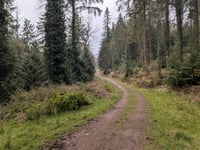 Croydon Hill da Nutcombe Bottom via Longcombe Hill