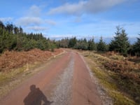 Croydon Hill da Nutcombe Bottom via Whitswood Steep