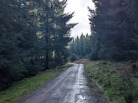 Croydon Hill da Nutcombe Bottom via Whitswood Steep