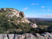 Cugni