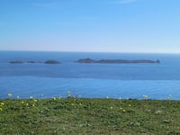 Cuili Columbaris z Villasimius