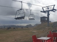 Cuitu Negru da Campomanes