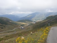 Cuitu Negru da Campomanes