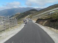 Cuitu Negru da Campomanes
