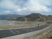 Cuitu Negru da Campomanes