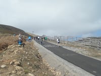 Cuitu Negru da Campomanes