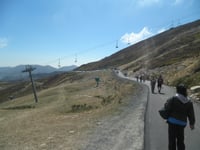 Cuitu Negru da Campomanes