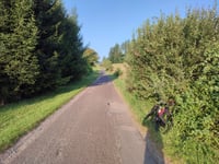 Czerwień von Drogosław