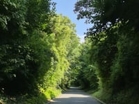 Daalstraat von Groot-Gelmen