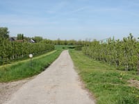 Daalstraat