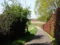 Daalstraat