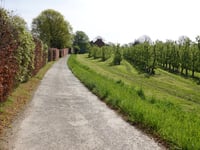 Daalstraat
