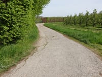 Daalstraat