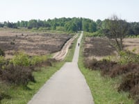 Braamberg / Hoog Buurlose Heide