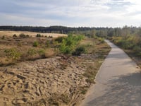 Braamberg / Hoog Buurlose Heide