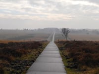 Braamberg / Hoog Buurlose Heide