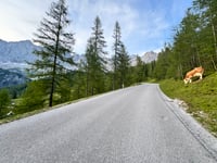 Dachstein von Schildlehen