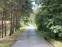 Daszyńskiego von Myślenice