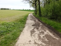 De Akkerstraat da Wijngaerdbos