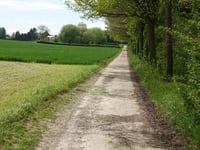 De Akkerstraat da Wijngaerdbos