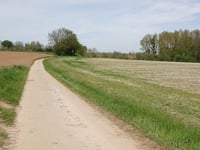 De Akkerstraat da Wijngaerdbos