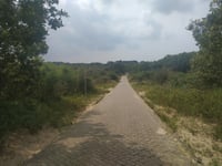 De Blinkert über Visscherspad