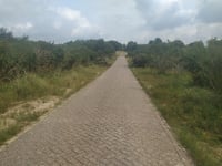 De Blinkert via Visscherspad