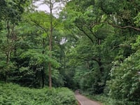 De Bunt über Peerenbergscheweg