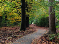 De Dellen desde Heerde