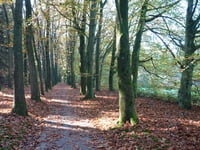 De Dorskamp from Wageningen