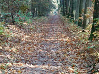 De Dorskamp from Wageningen