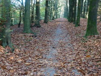 De Dorskamp from Wageningen