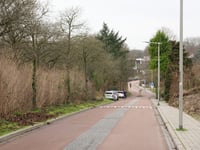 De Haspel from Rosandepolder