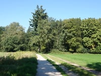De Hoge Oorsprong