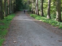 De Jufferweg über Achter den Put