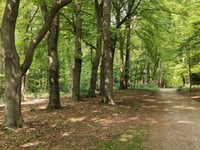 De Klinkenberg von Hoog Soeren