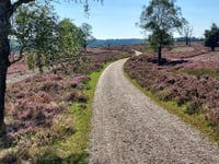 De Kouwerik desde Loenermark
