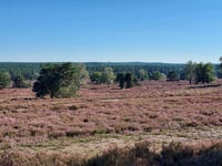 De Kouwerik desde Loenermark