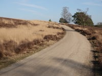 De Kouwerik from Loenermark