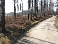 De Kouwerik von Landgoed Boshul