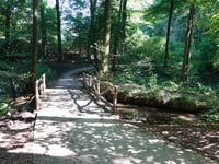 De Lage Oorsprong