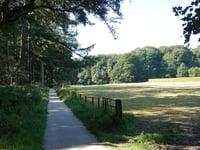 De Lage Oorsprong