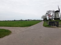 De Windhond über Kolonieweg