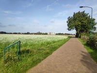 De Windhond über Kolonieweg